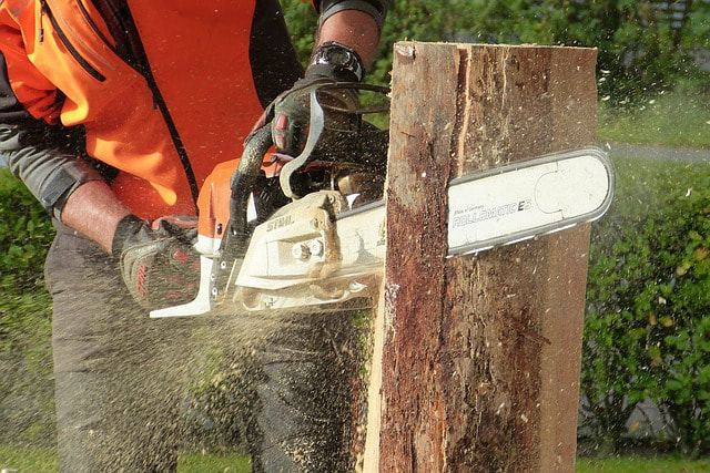 A man chopping up a log with a large stihl chainsaw.